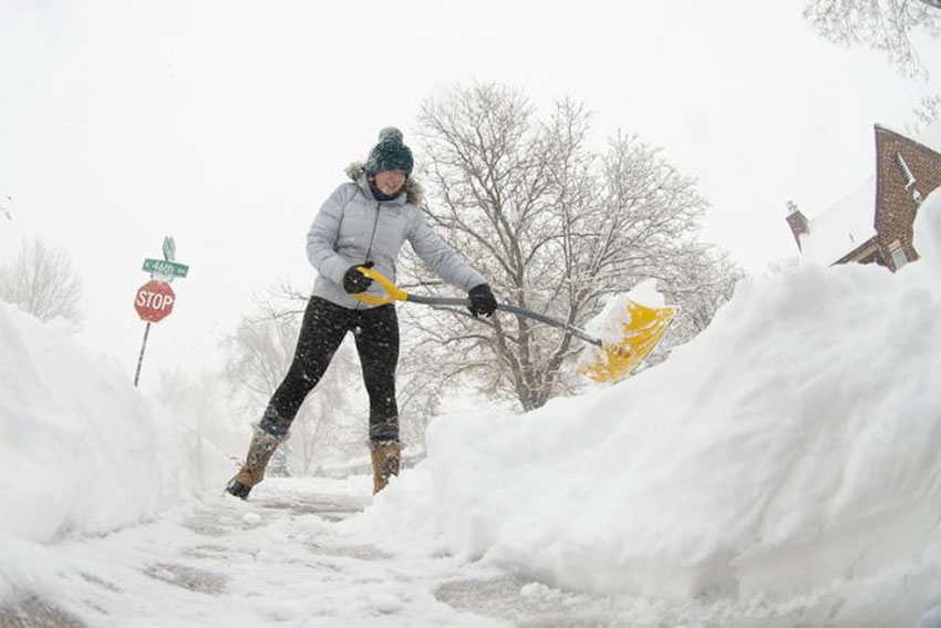 Services . United Property Solutions 2000